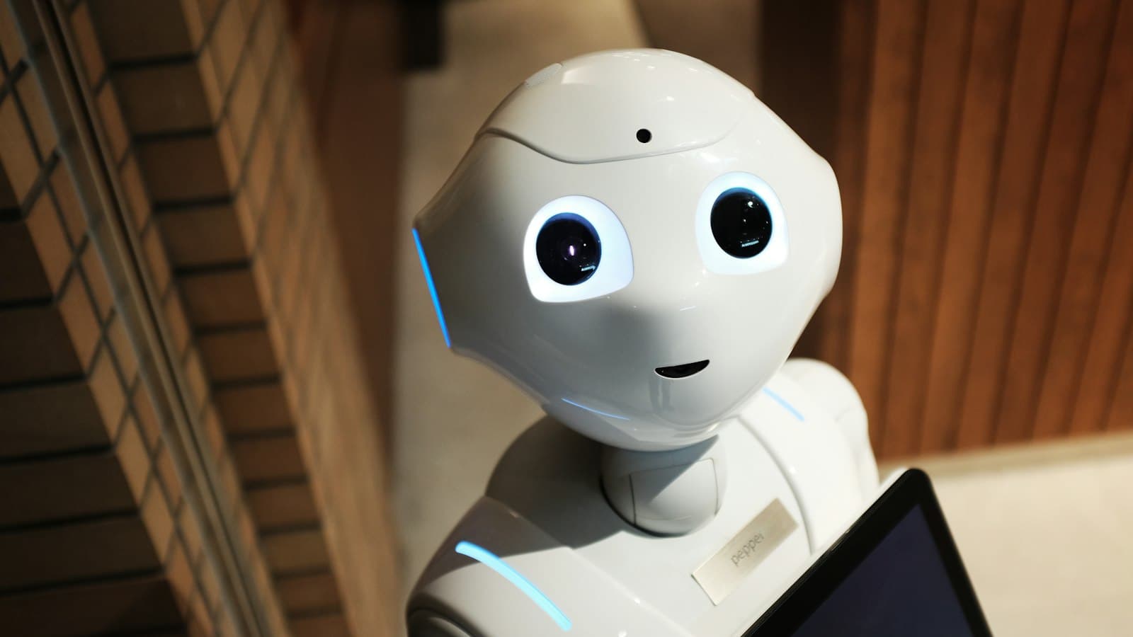 AI automatizace firemních procesů: 12 oblastí, kde se investice vrací nejrychleji